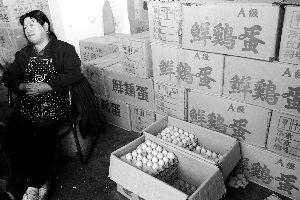 大连“问题鸡蛋”原因尚未查明
