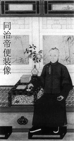 同治帝是否死于梅毒 御医后人与专家说法不一