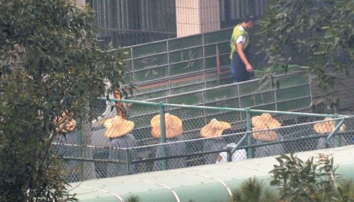 维基解密:李光耀称陈水扁为逃刑责推“台独”