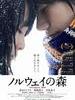 挪威的森林/Norwegian Wood(2010)