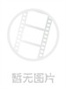 遇到百分之百的女孩/The 100% Perfect Girl(2006)
