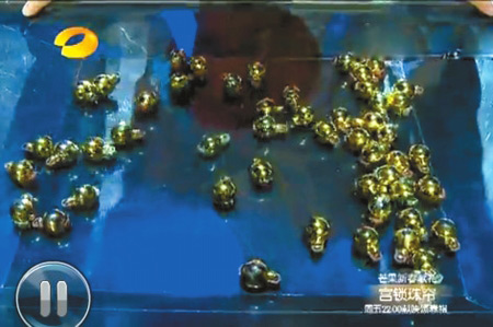 瓢虫们不听话,而且被疑为是电子道具