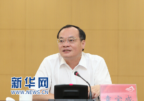 东莞市长袁宝成谈招商引资