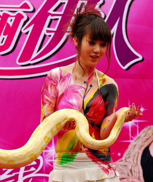 张筱雨人体艺术图片之人体彩绘与黄金大蟒同台献艺