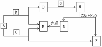 高一期末化学试题 - xuzhengzhao21@126 - 倾谈每一瞬 高一期末化学试题 - xuzhengzhao21@126 - 倾谈每一瞬
