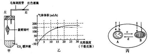 http://sq.k12.com.cn/discuz/attachment.php?aid=76587&noupdate=yes