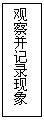 文本框: 观察并记录现象