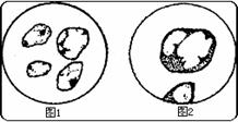 6ec8aac122bd4f6e