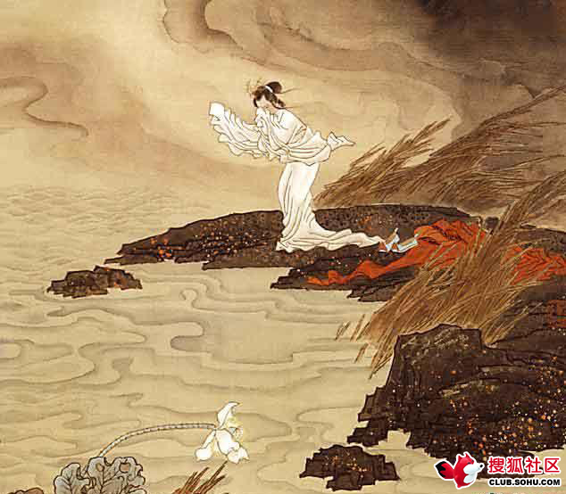 搜狐社区网友上传图片