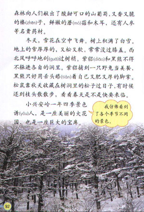 《美丽的小兴安岭》电子教材