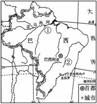 巴西略图