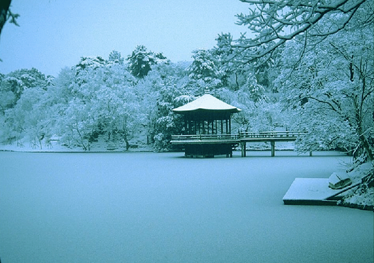 {湖心亭看雪扩写}.