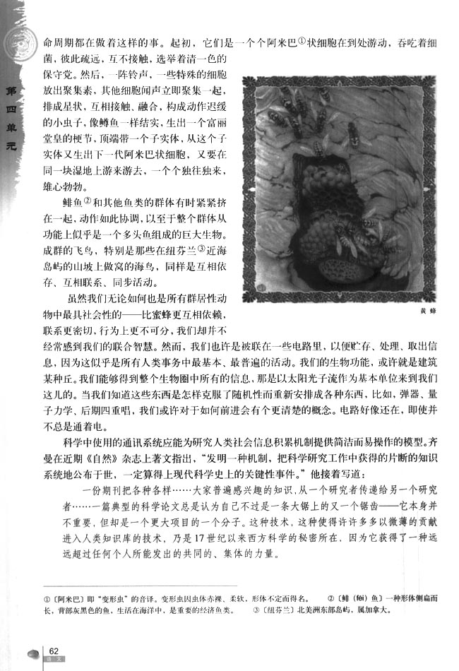作为生物的社会 ——刘易斯·托马斯