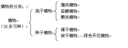 七上总复习资料(教案) - 愚人 - 愚人的博客