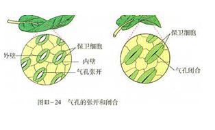 七上总复习资料(教案) - 愚人 - 愚人的博客