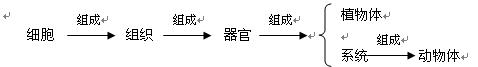 七上总复习资料(教案) - 愚人 - 愚人的博客
