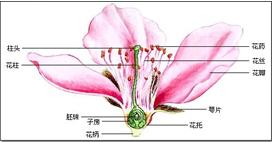 七上总复习资料(教案) - 愚人 - 愚人的博客