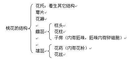 七上总复习资料(教案) - 愚人 - 愚人的博客