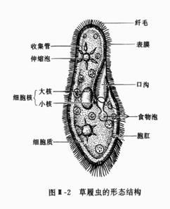 七上总复习资料(教案) - 愚人 - 愚人的博客