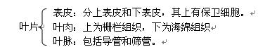 七上总复习资料(教案) - 愚人 - 愚人的博客