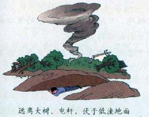 align=right